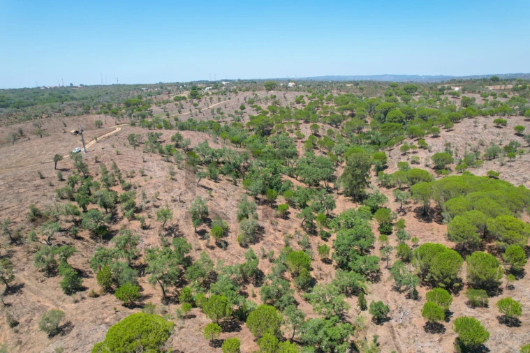 Terreno para Venda em São Francisco da Serra Foto 25