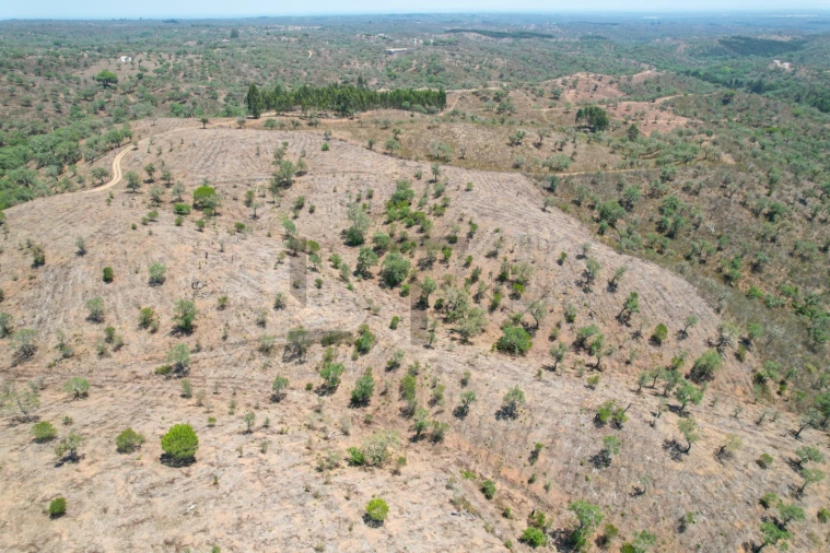 Terreno para Venda em São Francisco da Serra Foto 27