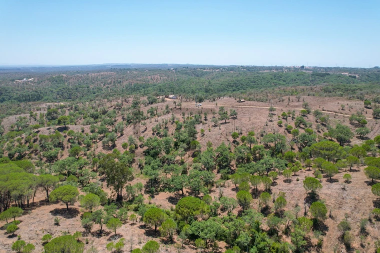 Terreno para Venda em São Francisco da Serra Foto 33
