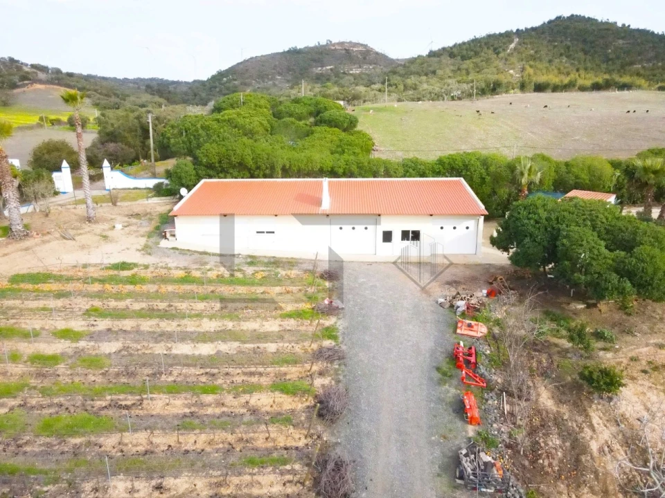 Quinta T7 para Venda em Porto Covo Foto 4