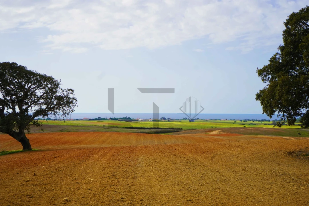 Quinta T7 para Venda em Porto Covo Foto 13