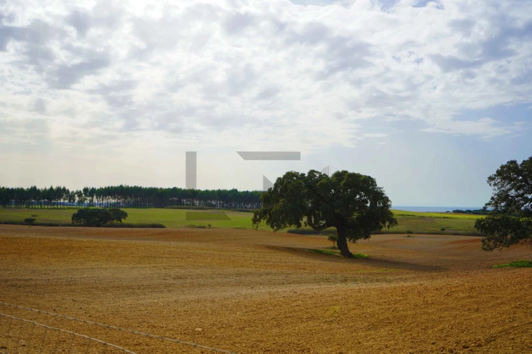 Quinta T7 para Venda em Porto Covo Foto 17