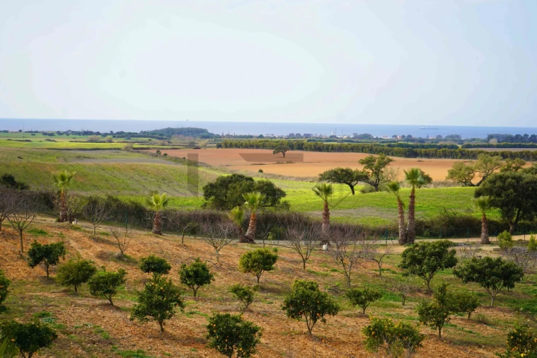 Quinta T7 para Venda em Porto Covo Foto 26