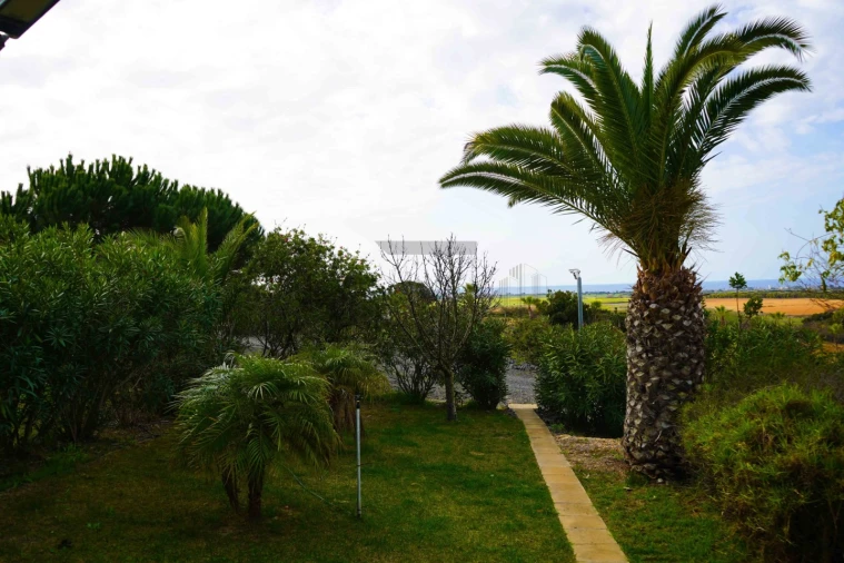 Quinta T7 para Venda em Porto Covo Foto 33