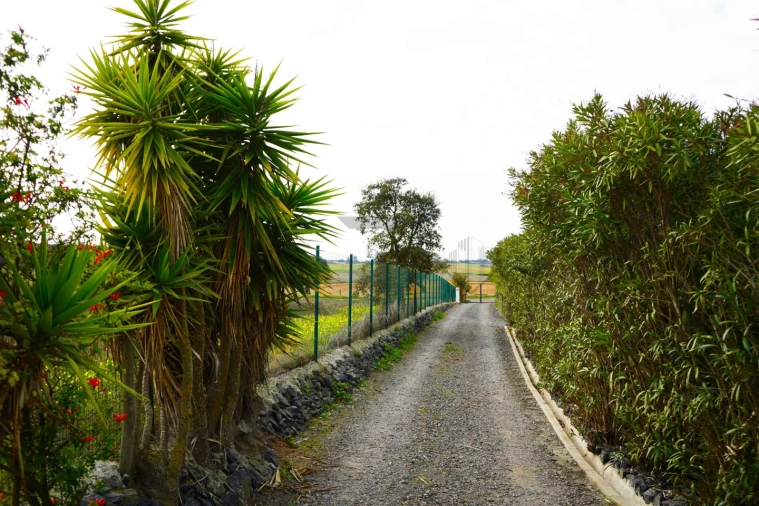 Quinta T7 para Venda em Porto Covo Foto 52