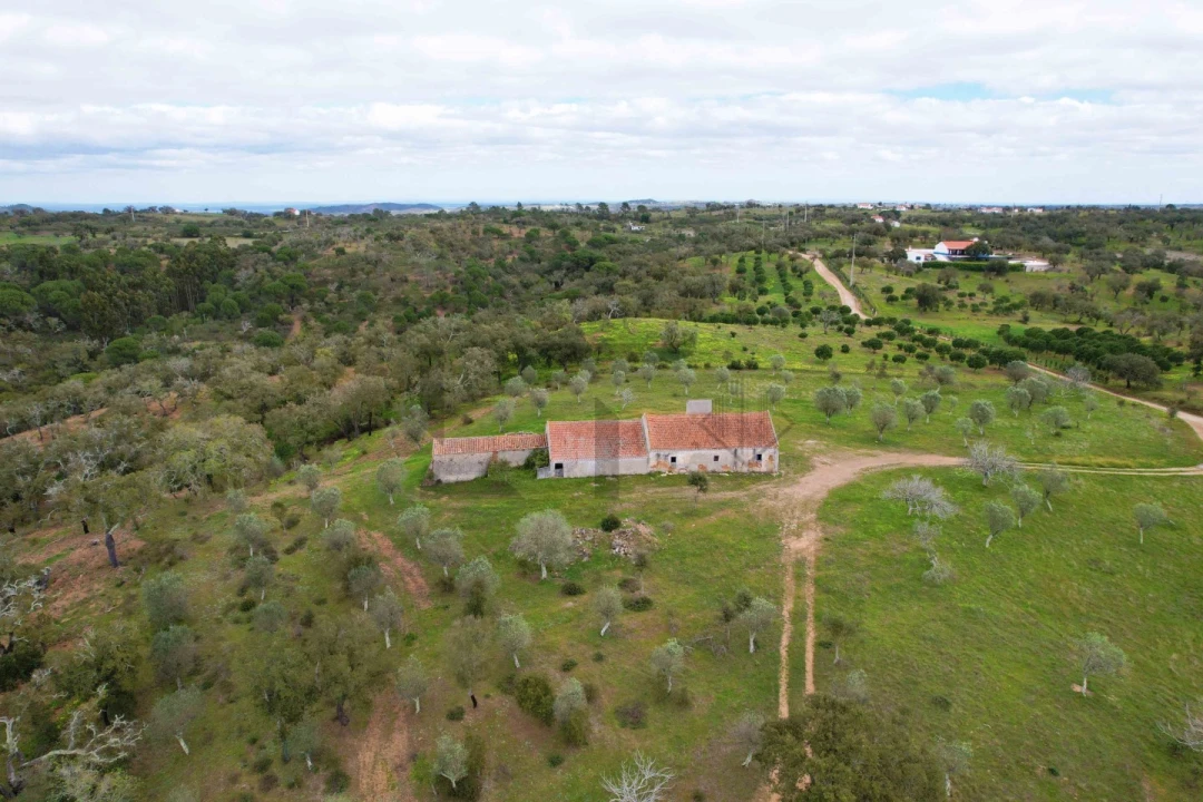 Terreno para Venda em Melides Foto 14