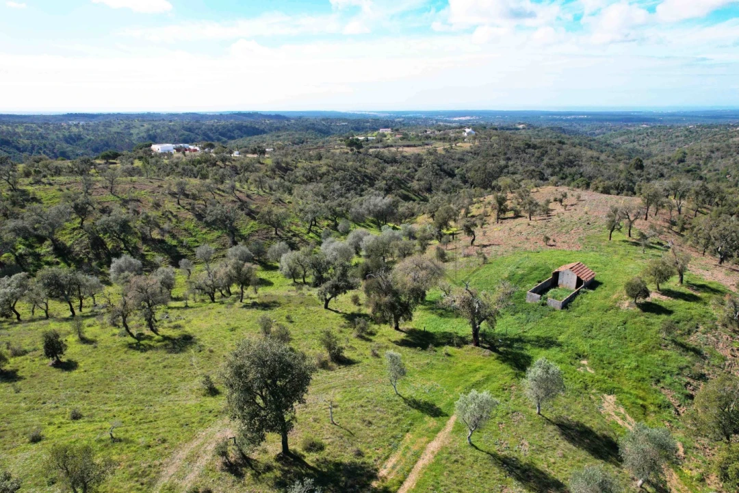 Terreno para Venda em Melides Foto 29