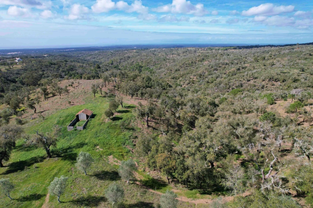 Terreno para Venda em Melides Foto 30