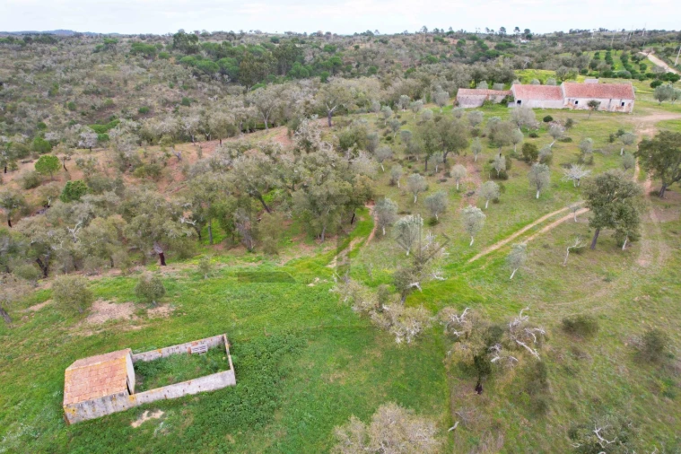 Terreno para Venda em Melides Foto 6