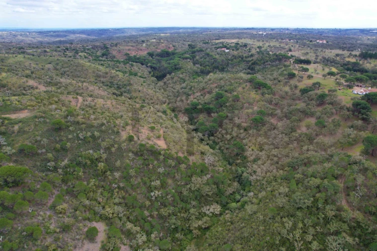 Terreno para Venda em Melides Foto 15