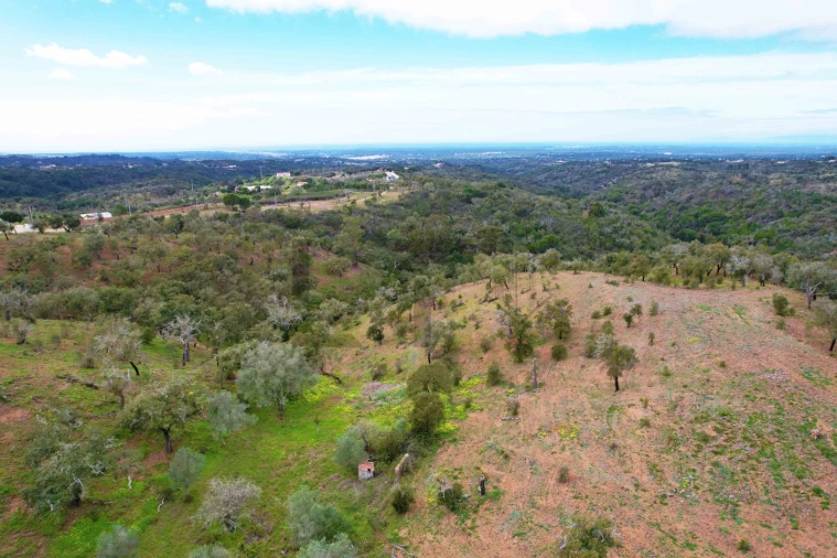 Terreno para Venda em Melides Foto 17