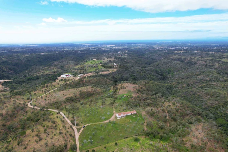 Terreno para Venda em Melides Foto 19