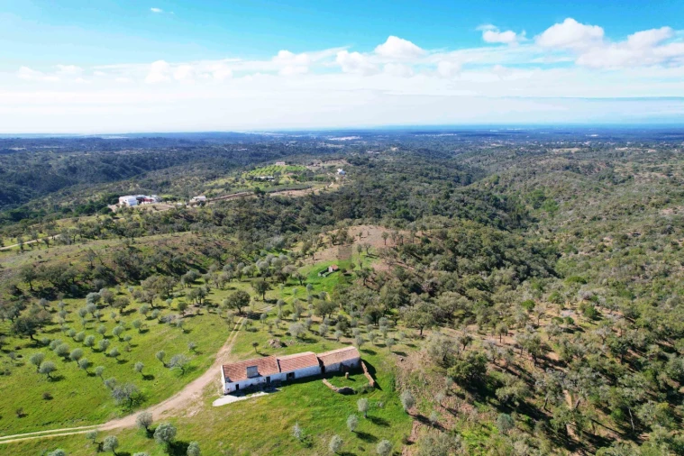 Terreno para Venda em Melides Foto 23