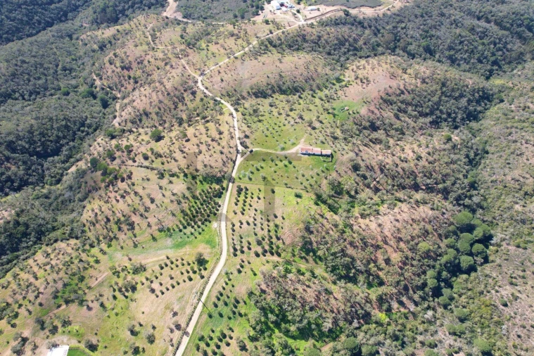 Terreno para Venda em Melides Foto 24