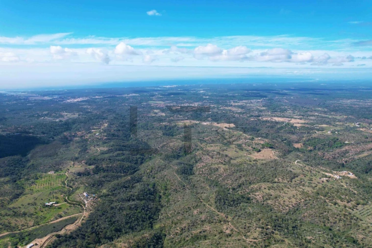 Terreno para Venda em Melides Foto 25
