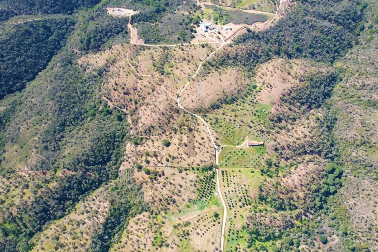 Terreno para Venda em Melides Foto 26