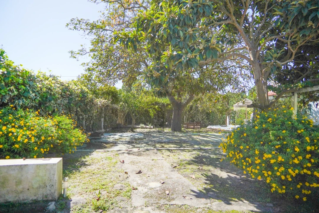 Moradia T4 para Venda em Carvalhal Foto 20