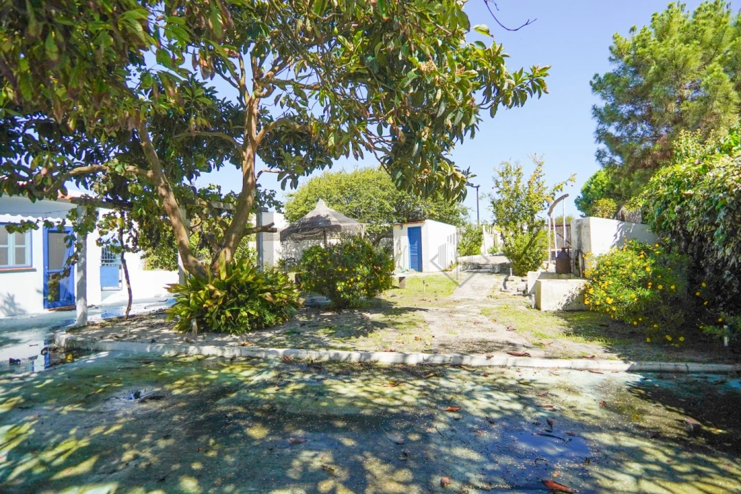 Moradia T4 para Venda em Carvalhal Foto 22