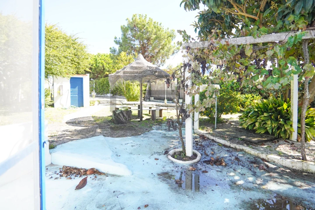 Moradia T4 para Venda em Carvalhal Foto 34