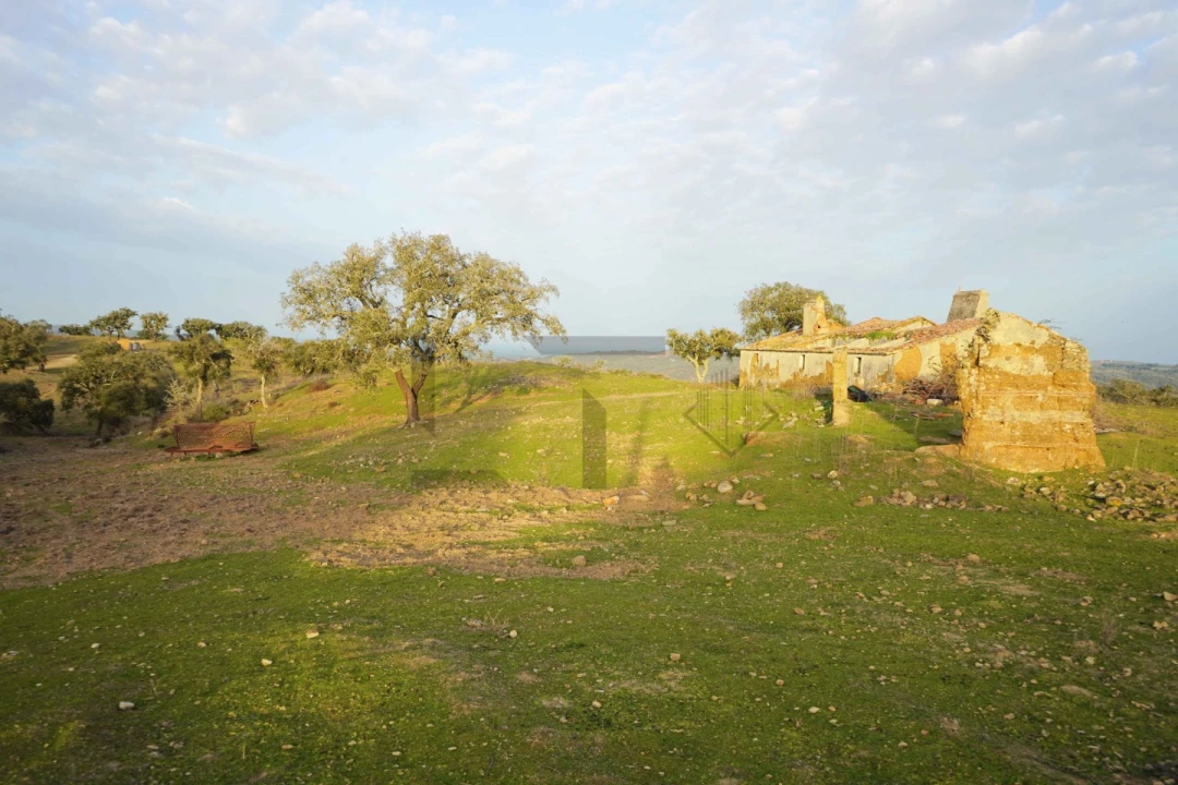 Terreno para Venda em Grândola e Santa Margarida da Serra Foto 13