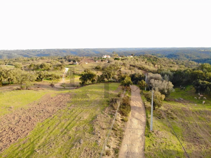 Terreno para Venda em Grândola e Santa Margarida da Serra Foto 4