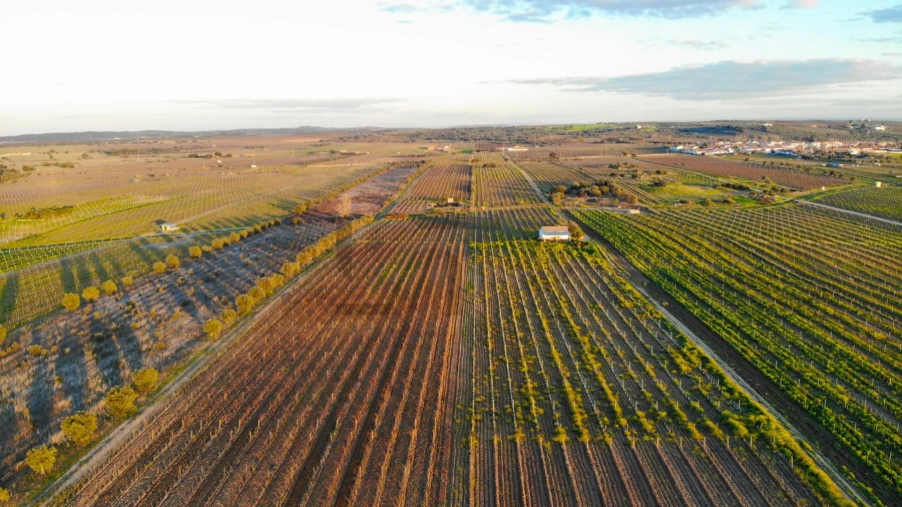 Terreno para Venda em Reguengos de Monsaraz Foto 1