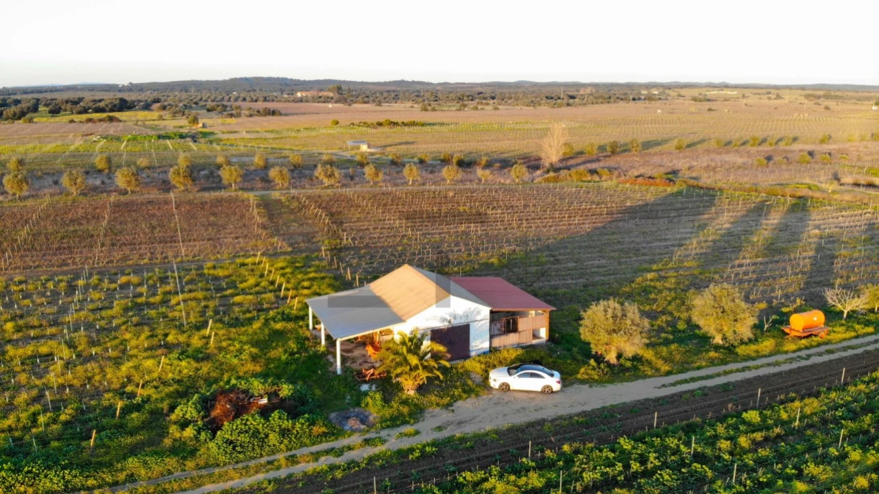 Terreno para Venda em Reguengos de Monsaraz Foto 13