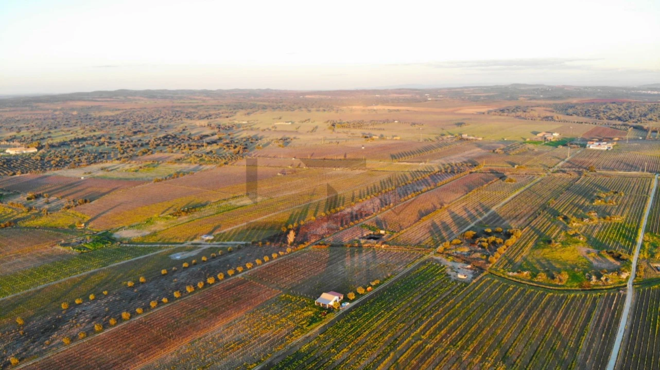 Terreno para Venda em Reguengos de Monsaraz Foto 17