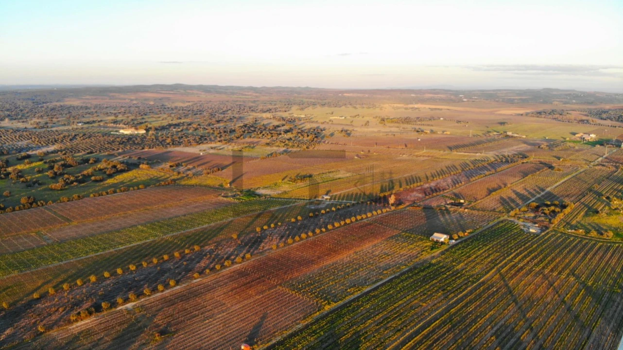 Terreno para Venda em Reguengos de Monsaraz Foto 18