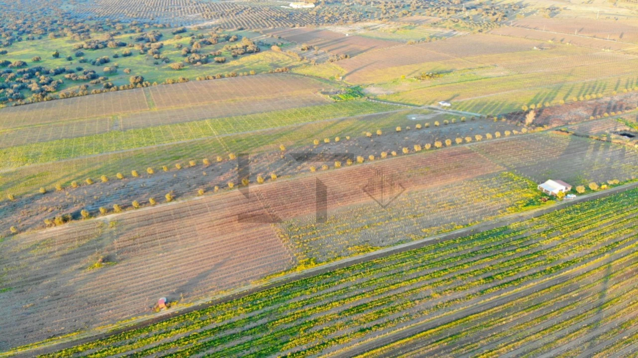 Terreno para Venda em Reguengos de Monsaraz Foto 22