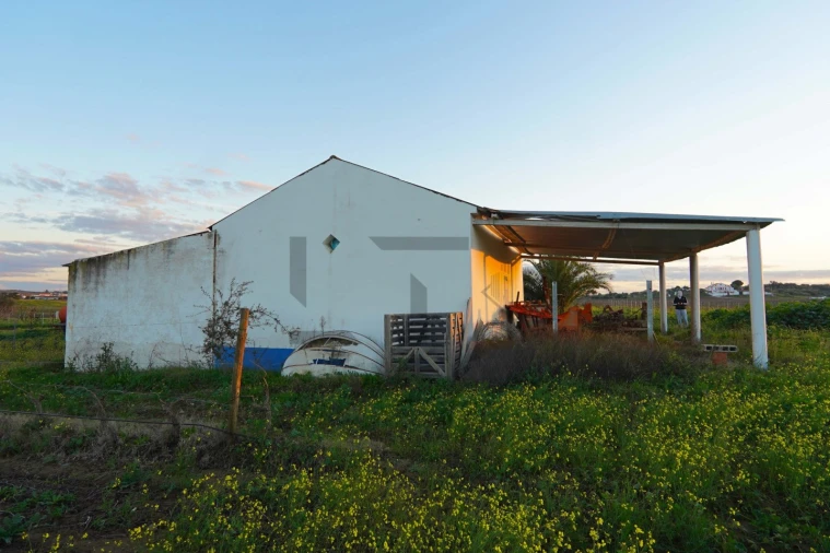 Terreno para Venda em Reguengos de Monsaraz Foto 6