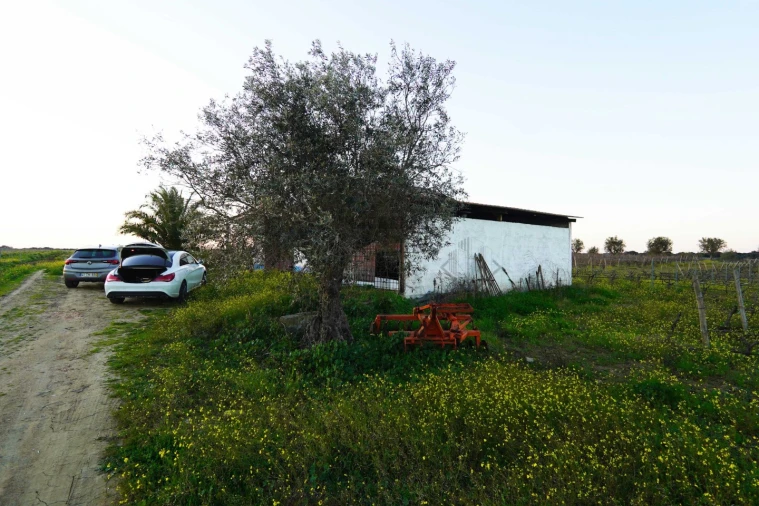 Terreno para Venda em Reguengos de Monsaraz Foto 10