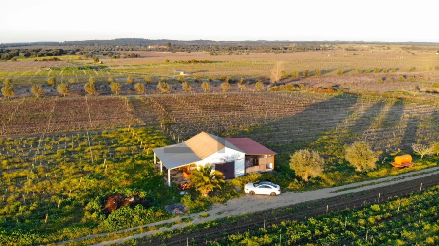 Terreno para Venda em Reguengos de Monsaraz Foto 13