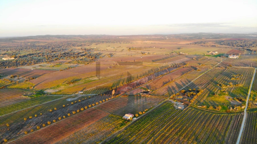 Terreno para Venda em Reguengos de Monsaraz Foto 17