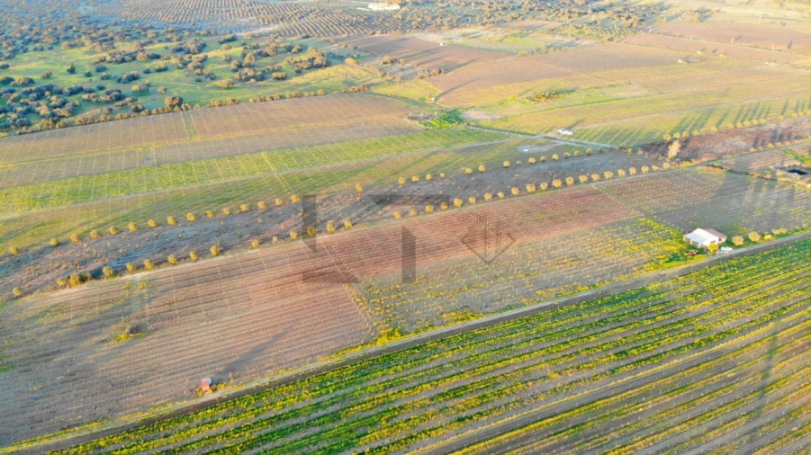Terreno para Venda em Reguengos de Monsaraz Foto 22