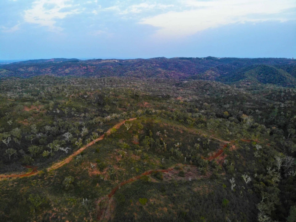 Terreno para Venda em Grândola e Santa Margarida da Serra Foto 9