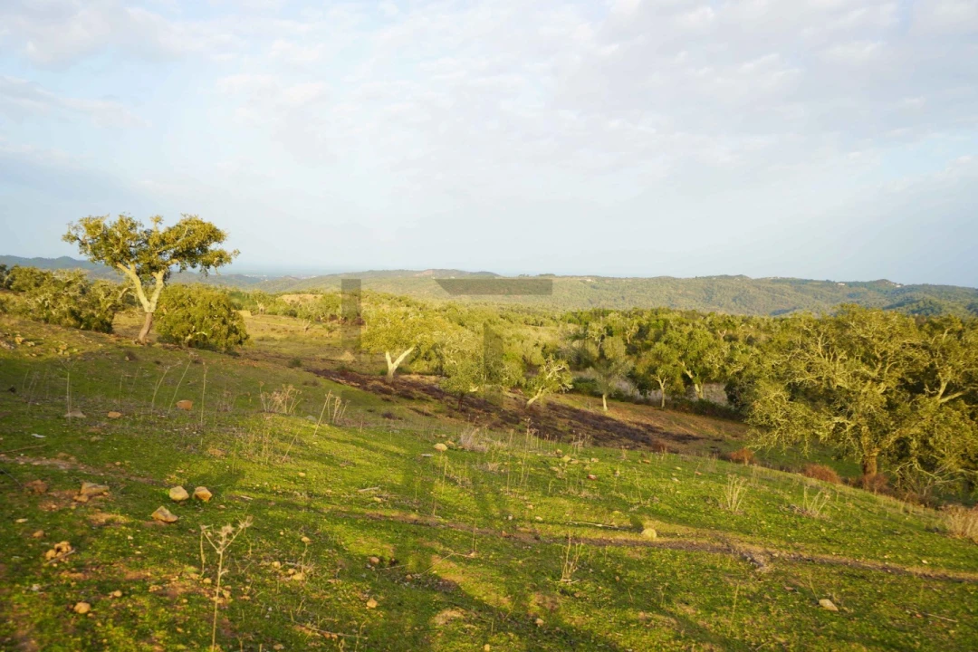 Terreno para Venda em Grândola e Santa Margarida da Serra Foto 13