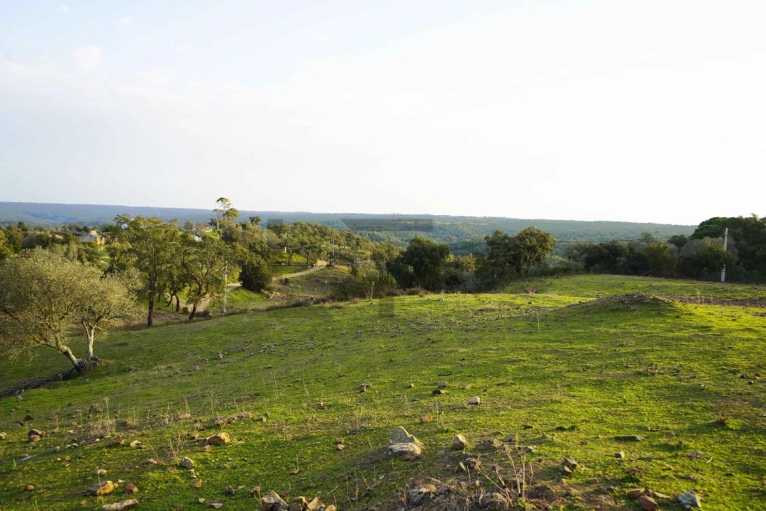 Terreno para Venda em Grândola e Santa Margarida da Serra Foto 14