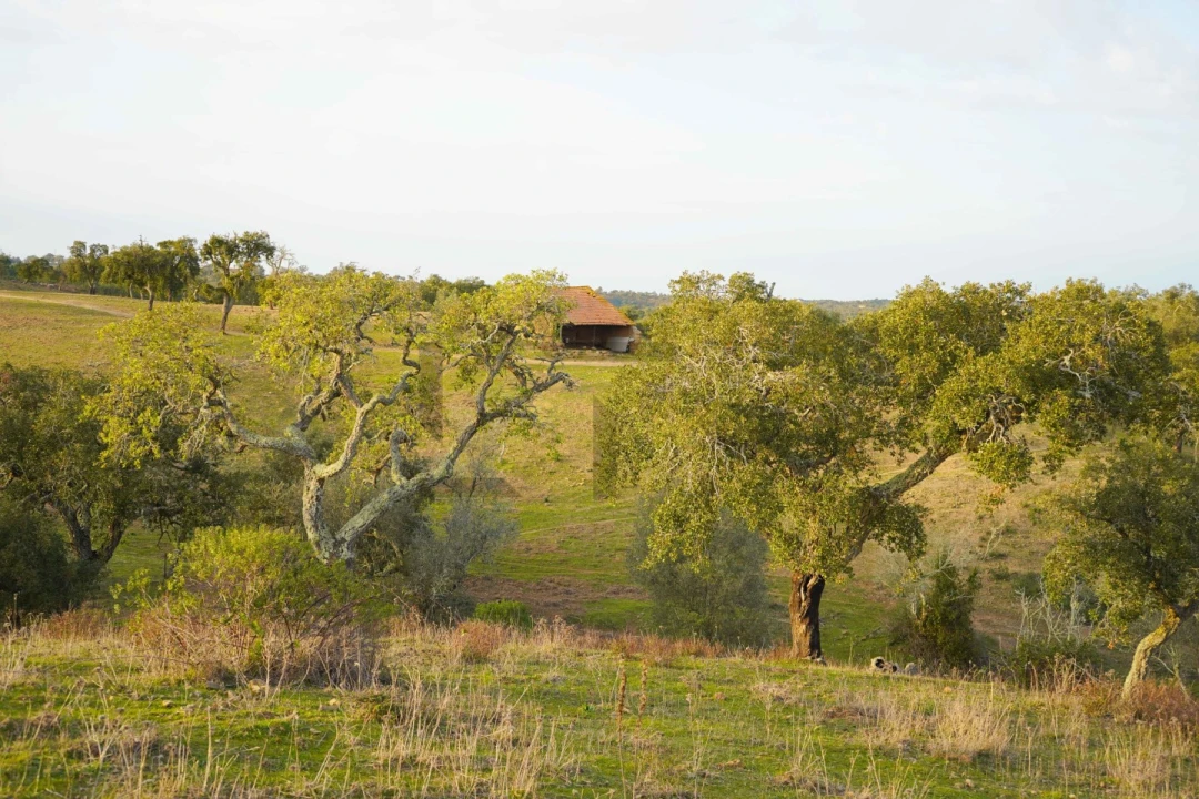 Terreno para Venda em Grândola e Santa Margarida da Serra Foto 16