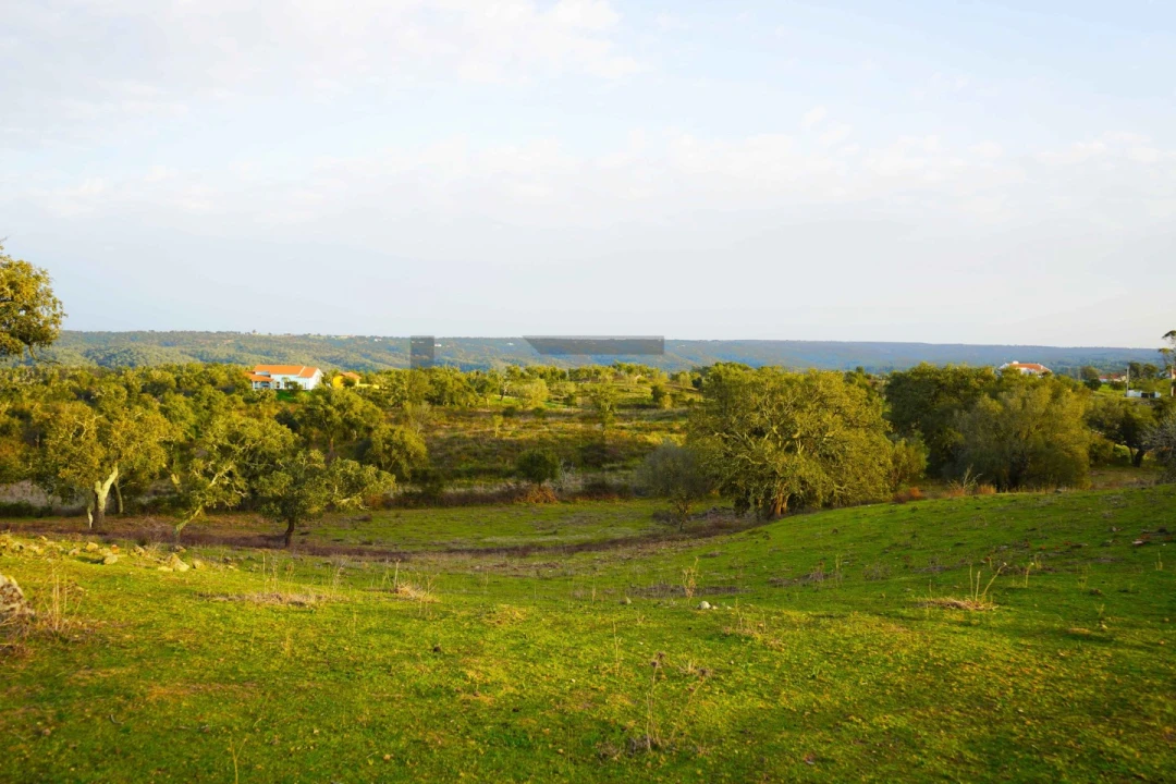 Terreno para Venda em Grândola e Santa Margarida da Serra Foto 18