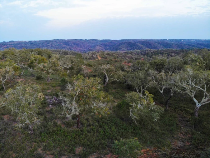 Terreno para Venda em Grândola e Santa Margarida da Serra Foto 7