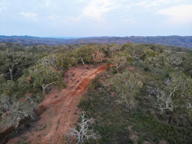 Terreno para Venda em Grândola e Santa Margarida da Serra Foto 8