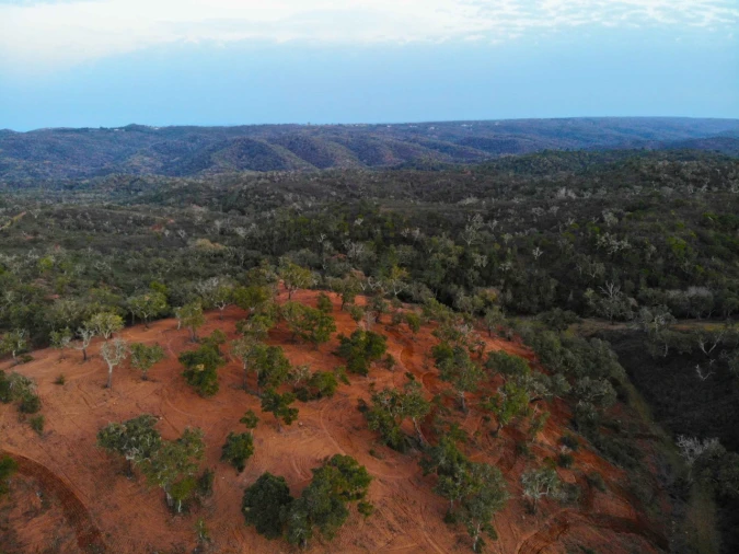 Terreno para Venda em Grândola e Santa Margarida da Serra Foto 11