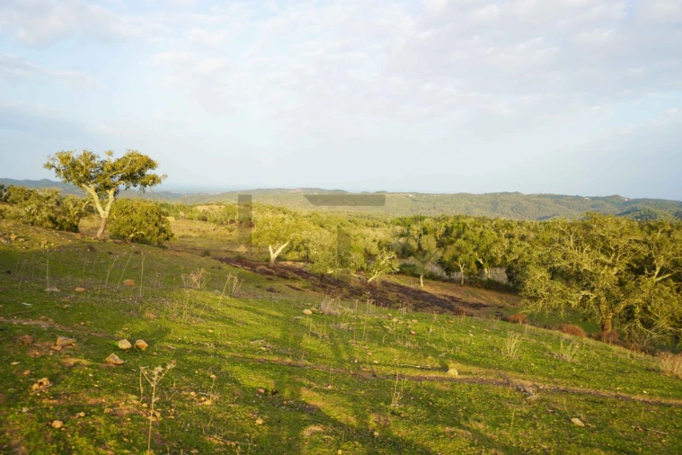 Terreno para Venda em Grândola e Santa Margarida da Serra Foto 13