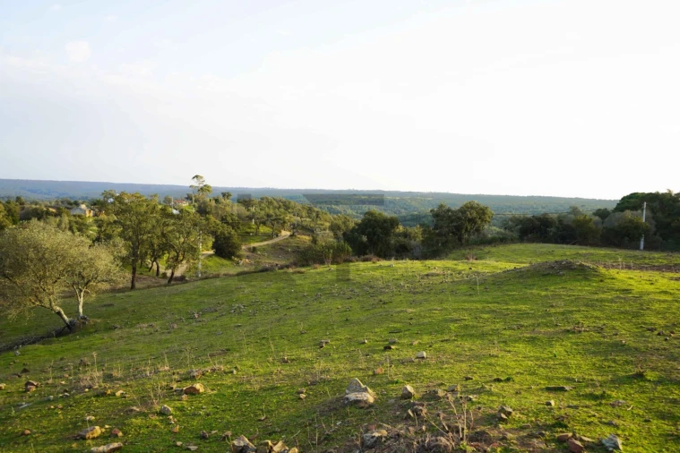 Terreno para Venda em Grândola e Santa Margarida da Serra Foto 14