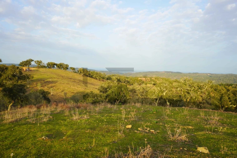 Terreno para Venda em Grândola e Santa Margarida da Serra Foto 17