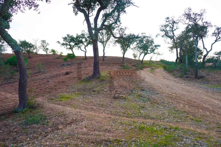Terreno para Venda em Grândola e Santa Margarida da Serra Foto 19