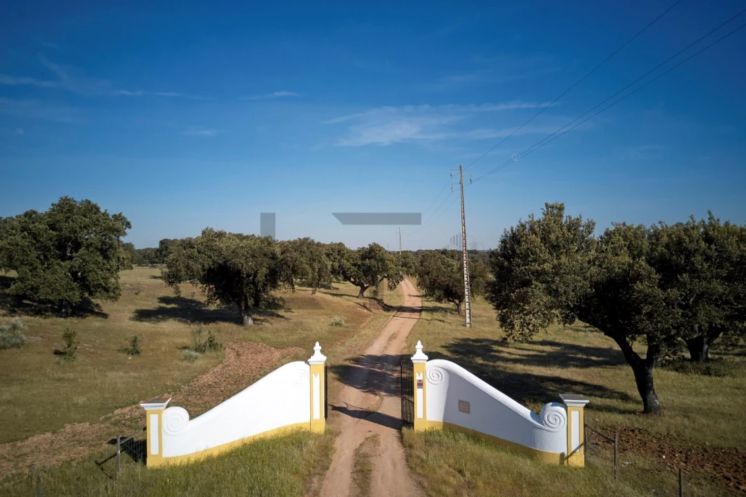 Quinta T8 para Venda em Monforte Foto 5