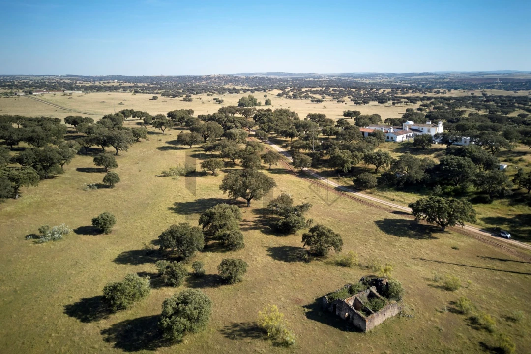 Quinta T8 para Venda em Monforte Foto 6