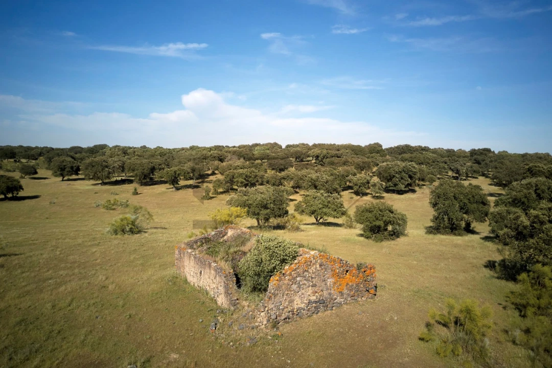 Quinta T8 para Venda em Monforte Foto 9